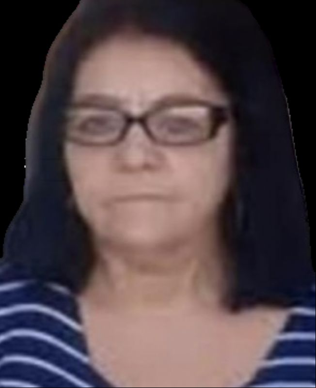 imagem noticia